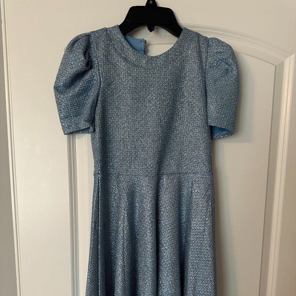 NWT Blue Sparkle Dress